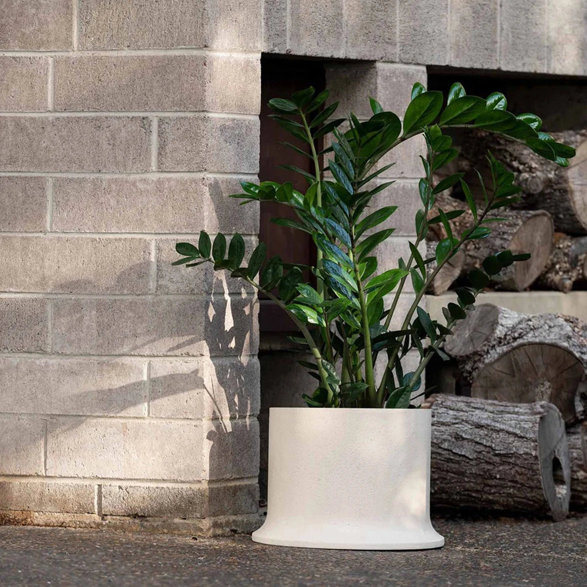 Rise Planter Large - Natural - Image 2