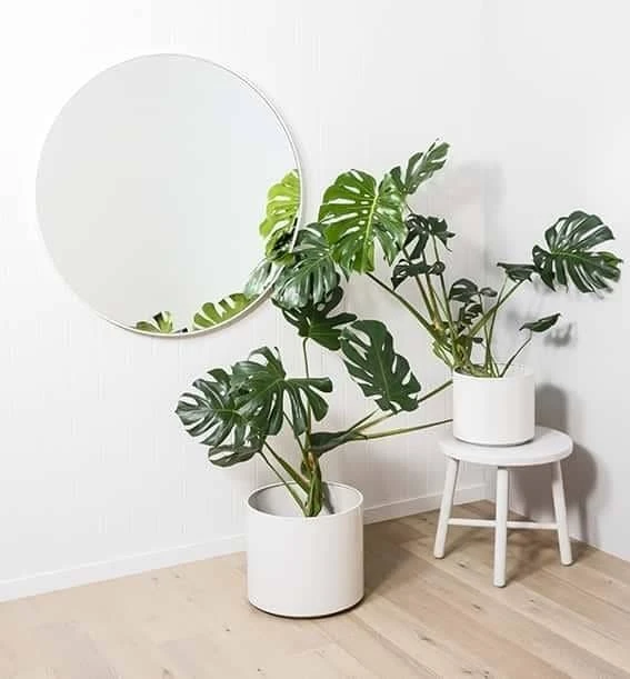 Flynn Round Mirror - White 80cm - Image 2