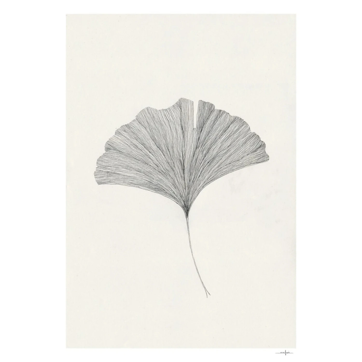 Ginkgo Leaf Print 50Cm X 70Cm