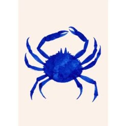 Cangrejo De Noche Print 40cm X 50cm