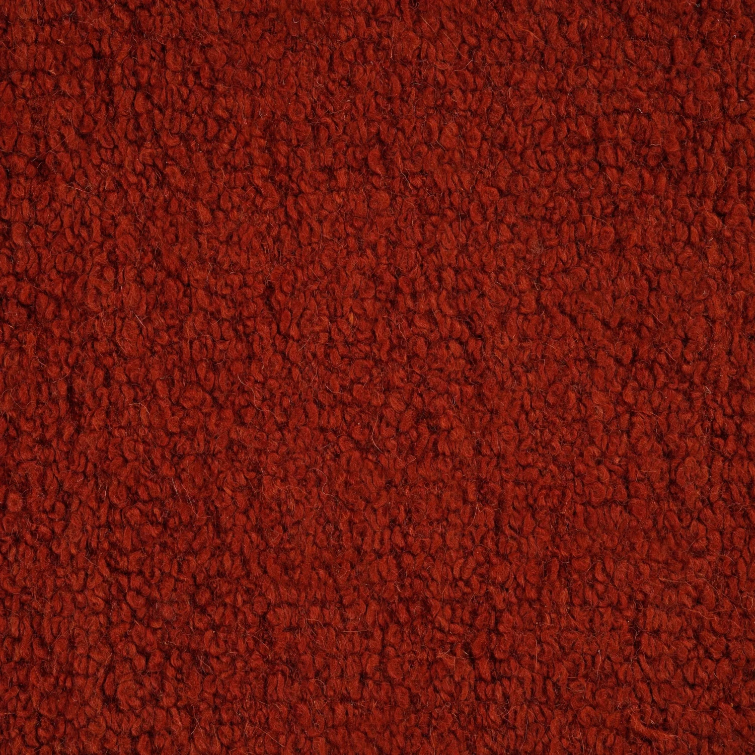 Plush Rug - Cherry 200cm X 300cm - Image 6